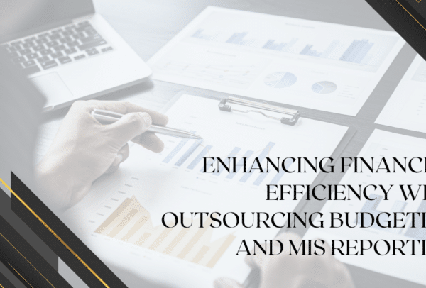 outsourcing budgeting and management information system (MIS) reporting