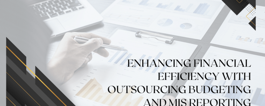 outsourcing budgeting and management information system (MIS) reporting