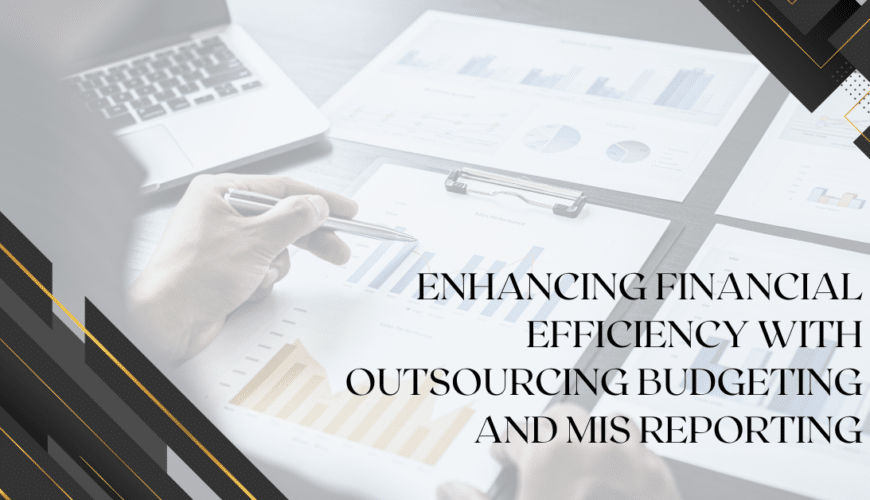 outsourcing budgeting and management information system (MIS) reporting