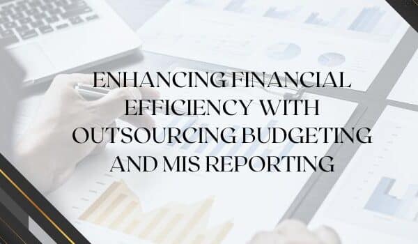 outsourcing budgeting and management information system (MIS) reporting