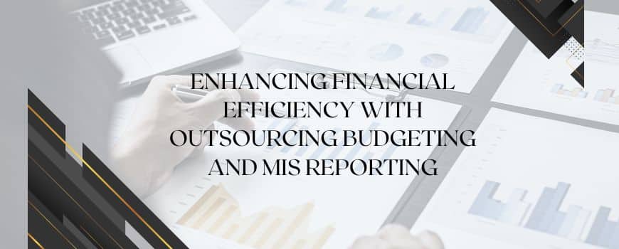 outsourcing budgeting and management information system (MIS) reporting